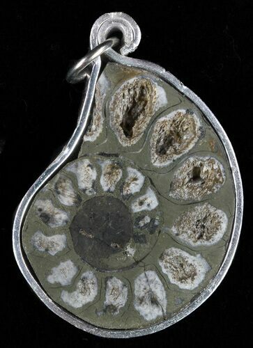 Pyrite Replaced Ammonite Fossil Pendant #58408